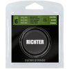 RICHTER Electric Guitar Strings Ion Coated, Light 9-42