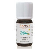Hanus Citronelová silica 10 ml 10 ml esenciálny olej