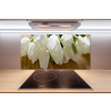 Panel do kuchyne Biele tulipány 100x50 cm