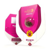 Royal Queen seeds Shogun neobsahují THC 10 ks