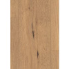 Egger EPL182 Pro Laminate 31 CLASSIC Dub divoký prírodný lam. podlaha 7 mm 4V CLICit EPL182-PC017