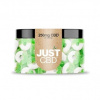 JustCBD Gummies Apple Rings 250 mg – 3000 mg CBD 250 mg