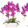 SILIKÓNOVÉ ORCHIDEJE UMELÉ SILIKÓNOVÉ ORCHIDEY (SILIKÓNOVÉ ORCHIDEJE UMELÉ SILIKÓNOVÉ ORCHIDEY)