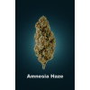 TatraHemp Amnesia Haze CBD 15,25% Balenie: 3g
