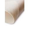 PVC podlaha IVC Stellar Patagonia 562