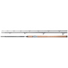 Shimano Speedmaster Salmon Spin 3,96m 40-100g 3diel
