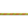 BEAL polovičné lezecké lano Ice Line Unicore 8,1 mm 50 m, anis