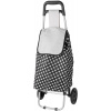 Slovakia Trend Strend Pro 2172565 - Vozík Aleš, PE/PVC, EVA, max. 20 kg, 35x30x94 cm, nákupný