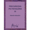 E-kniha: Prechádzka po Patagónii III