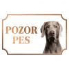 Weimarský stavač krátkosrstý - Kovová tabuľka POZOR PES