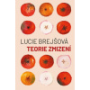 Teorie zmizení - Brejšová Lucie