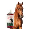 Lab-v Lososový olej - 100% olej z atlantického lososa pre kone 1000 ml