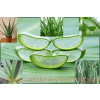 Aloe, Aloa pravá - (Aloe vera L.) 3 ročná