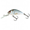 Salmo Hornet 06 F Real Dace 6 cm