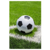 Jerry Fabrics DETSKÁ FLEECOVÁ DEKA FOOTBALL 100X150 CM VZOROVANÁ