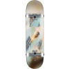 Globe - G1 Stack 8.25