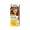 PALETTE COLOR SHAMPOO farba na vlasy 317 Orechovo plavý