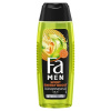 Fa Men Sport Energy Boost sprchový gél 3v1 250 ml