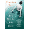 You Will Be Safe Here - Barr, Damian