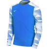 Detská brankárska mikina Dry Park IV JSY LS JR CJ6072-463 - Nike M