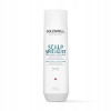 Goldwell Dualsenses Scalp Specialist Densifying Shampoo 250 ml