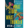 What Storm, What Thunder - Myriam J.A. Chancy