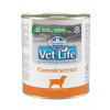 Vet Life Natural DOG konz. Convalescence 300g