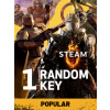 Popular Random 1 Key (PC) Steam Key 10000505049001