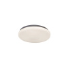 RABALUX Rob 2284 stropné svietidlo LED 20W