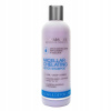 Spa Master detoxikačný micelárny šampón proti lupinám 330 ml