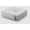 WiiM Amp (Silver)