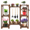 Stojan na kvety - Záhon, rebrík, drevená polica, 80cm (Stojan na kvety - Záhon, rebrík, drevená polica, 80cm)