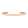 Náramok Daniel Wellington Classic Bracelet DW00400001 Daniel Wellington DW00400001