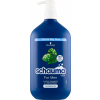Schauma Men Classic šampón 750 ml