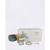 P&T Matcha Starter Kit