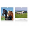 MFP kalendár 2026 nástenný malý Horses 1061636