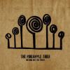 Pineapple Thief - Nothing But the Truth / Live / Vinyl / 2LP [2 LP]
