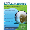 Math Mammoth Grade 5-A Worktext (Brožovaná)