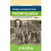 E-kniha Příběh zapomenutého průmyslníka - Radek Diestler