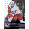 Dylan Larkin (Detroid red wings)
