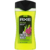 AXE Epic Fresh sprchovy gél 250ml