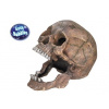 Nobby Scull 13,5x20x16,5 cm