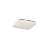 RABALUX Rob 2286 stropné svietidlo LED 20W
