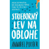 Strieborný lev na oblohe - Annabel Pitcher