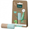 Kneipp Balzam na pery Aloe vera