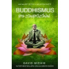 Buddhismus pro zaneprázdněné lidi - David Michie
