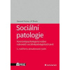Sociální patologie - Forenzněpsychologický rozbor vybraných sociálněpatologických jevů - Fischer Slavomil, Škoda Jiří