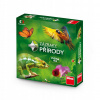 Spoločenská hra Zázraky prírody Dino Toys