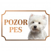 Westhighlandský biely teriér - Kovová tabuľka POZOR PES