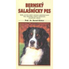 Bernský salašnícky Pes - Günter Bernd
